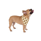 Brown and Cream Plaid Pet Bandana! Foxy Pets! Free Shipping!!!