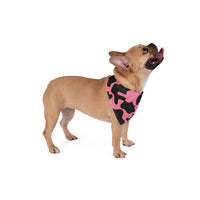 Black and Pink Cow Print Pet Bandana! Foxy Pets! Free Shipping!!!