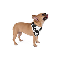 Black and White Cow Print Pet Bandana! Foxy Pets! Free Shipping!!!