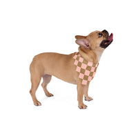 Pink and Cream Plaid Pet Bandana! Foxy Pets! Free Shipping!!!