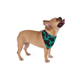 Black and Teal Blue Cow Print Pet Bandana! Foxy Pets! Free Shipping!!!