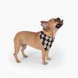 Halloween Skull and Bone Pet Bandana! Foxy Pets! FreckledFoxCompany