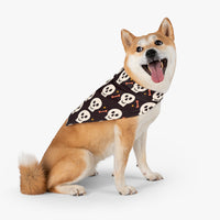 Halloween Skull and Bone Pet Bandana! Foxy Pets! FreckledFoxCompany