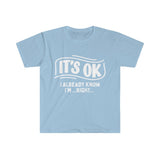 Its ok... I already Know I'm Right Unisex Graphic Tees! Sarcastic Vibes! FreckledFoxCompany