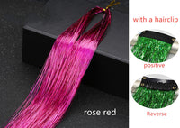 Sparkle Shiny Hair Tinsel Rainbow Silk Hair Extensions! Hair Accessories!